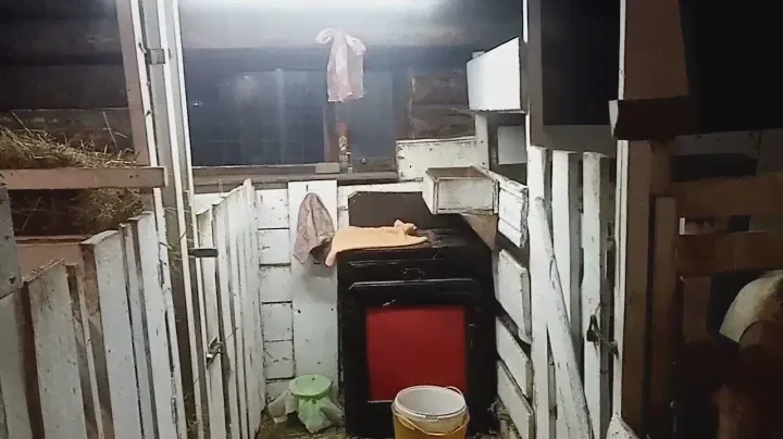 поменяли лампу и новый житель появился на свет