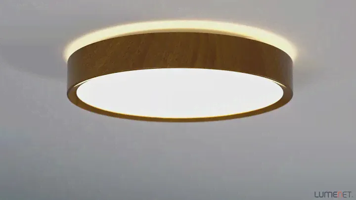 Eglo Musurita ceiling LED lamp